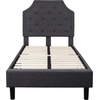 image:imageFlash Furniture Brighton Fabric Arched Tufted Upholstered King Size Platform Bed Modern LowProfile King Bed Frame with Headboard BeigeDark Gray