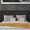 image:imageFlash Furniture Bristol Metal Tufted Upholstered Queen Size Headboard in Black Fabric