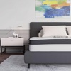 image:imageFlash Furniture Capri Comfortable Sleep 10 Hybrid Pocket Spring and Foam Mattress in a Box Foam Pocket Spring Hybrid Mattress QueenKing