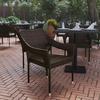 image:imageFlash Furniture Ethan Commercial Grade Patio Chair All Weather PE Rattan Wicker Stacking Patio Dining Chair GrayEspresso