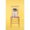 image:imageFlash Furniture Hercules Premium Series Chiavari Chairs for Formal Events and Banquets CommercialResidential AllOccasion Chairs Set of 2 Gold1