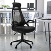 image:imageFlash Furniture Ivan High Back Black Mesh Executive Swivel Office Chair with FlipUp Arms