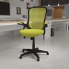 image:imageFlash Furniture Porter HighBack Swivel Office Chair with Adjustable Lumbar Support and Seat Height Ergonomic Mesh Desk Chair with FlipUp Armrests GrayBlackGreen