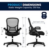 image:imageFlash Furniture Porter HighBack Swivel Office Chair with Adjustable Lumbar Support and Seat Height Ergonomic Mesh Desk Chair with FlipUp Armrests GrayBlackBlack