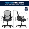 image:imageFlash Furniture Porter HighBack Swivel Office Chair with Adjustable Lumbar Support and Seat Height Ergonomic Mesh Desk Chair with FlipUp Armrests GrayBlackDark Gray