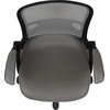 image:imageFlash Furniture Porter HighBack Swivel Office Chair with Adjustable Lumbar Support and Seat Height Ergonomic Mesh Desk Chair with FlipUp Armrests GrayBlackLight Gray