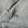 image:imageFlash Furniture Duncan Sherpa Bean Bag Chair Classic Refillable Bean Bag Chair for Kids and Teens Large GrayGray Sherpa