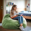 image:imageFlash Furniture Duncan Sherpa Bean Bag Chair Classic Refillable Bean Bag Chair for Kids and Teens Large GrayGreen