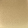 image:imageFlash Furniture Hard Gold Vinyl Chiavari Chair CushionGold Vinyl