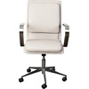 image:imageFlash Furniture James MidBack Designer Executive Office Chair  Black LeatherSoft Upholstery  Brushed Gold Base and Arms  Height Adjustable 360 Swivel SeatTaupeChrome