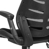 image:imageFlash Furniture Kale HighBack Ergonomic Mesh Office Chair with FlipUp Arms and Adjustable Foot Ring SpineBack Tall Executive Swivel Chair BlackBlack