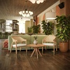 image:imageFlash Furniture Naomi Cane Rattan Dining and Accent Chair Commercial Grade Solid Wood Frame with Gold Accent Legs Beige Upholstered Padded Seat NaturalNatural