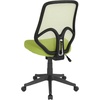 image:imageFlash Furniture Salerno Series High Back Black Mesh Office ChairGreen