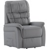 Gray Leathersoft