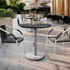 image:imageFlash Furniture Acadia 3125 Round Indoor Outdoor Dark Brown Tabletop with 18 Round Silver Base Scratch Heat amp UV Resistant Seamless TopGuard HPL Top and EdgeBlack Faux MarbleSilver Base