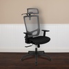 image:imageFlash Furniture Ergonomic Mesh Office Chair with SynchroTilt Pivot Adjustable Headrest Lumbar Support Coat Hanger and Adjustable Arms in GrayBlack