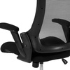 image:imageFlash Furniture Hamilton MidBack Black Mesh Executive Swivel Office Chair with Molded Foam Seat and Adjustable Arms