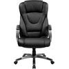 image:imageFlash Furniture Hansel High Back Black LeatherSoft Executive Swivel Office Chair with Titanium Nylon Base and Loop Arms