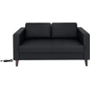 image:imageFlash Furniture Hercules Artemis Commercial Loveseat for Reception and Lobby Use with Solid Wood Legs 2 Outlets 1 USB and 1 USBC Ports Black LeatherSoftBlack