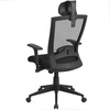 image:imageFlash Furniture High Back Black Mesh Executive Swivel Ergonomic Office Chair with Back Angle Adjustment and Adjustable Arms