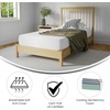 image:imageFlash Furniture Jasmine 8 Inch Green Tea Memory Foam Mattress  Charcoal Infused  Supportive Pressure Relief  CertiPURUS Certified Foam  Twin Mattress in a Box WhiteTwin