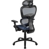 image:imageFlash Furniture LO Ergonomic Mesh Office Chair with 2to1 SynchroTilt Adjustable Headrest Lumbar Support and Adjustable Pivot Arms in Blue