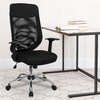image:imageFlash Furniture Noreen High Back Black Mesh Executive Swivel Office Chair with Arms