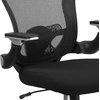 image:imageFlash Furniture Sam MidBack Black Mesh Executive Swivel Ergonomic Office Chair with Height Adjustable FlipUp Arms