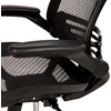 image:imageFlash Furniture Warfield MidBack Transparent Black Mesh Executive Swivel Office Chair with Black Frame and FlipUp ArmsBlack MeshBlack Frame