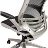 image:imageFlash Furniture Warfield MidBack Transparent Black Mesh Executive Swivel Office Chair with Black Frame and FlipUp ArmsBlack MeshGraphite Silver Frame