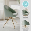 image:imageMartha Stewart Sora Stationary Swivel Task Chair with Sloped Arms for Home Office in Gray Velvet with Oil Rubbed Bronze FrameSage Faux LeatherPolished Brass Frame