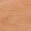 image:imageFlash Furniture 4 ft Wood Folding Round Banquet Table  Durable Construction Commercial UseNatural